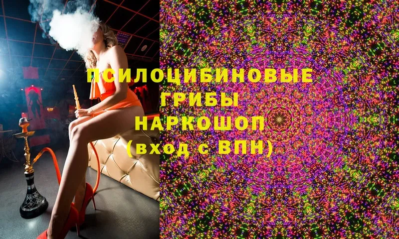 закладки  Усть-Лабинск  Галлюциногенные грибы Magic Shrooms 